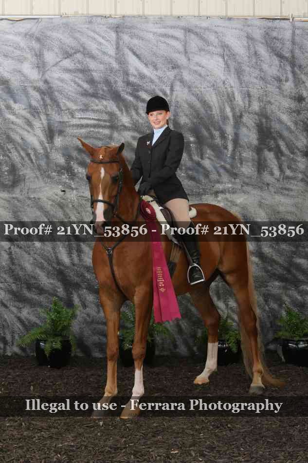 Proof Number 21YN_53856