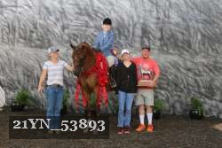 21YN_53893 thumbnail