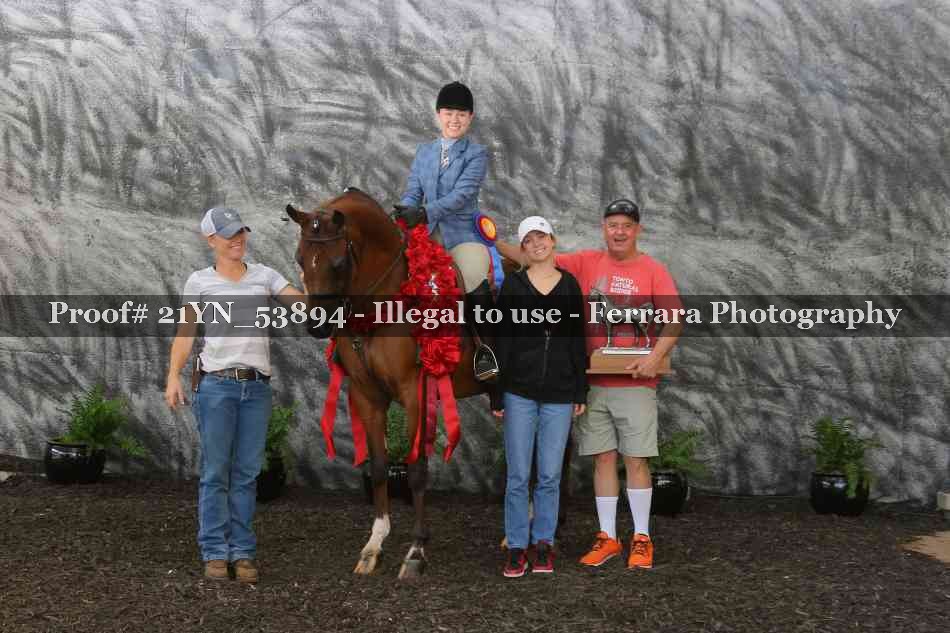 Proof Number 21YN_53894