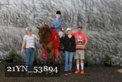 21YN_53894 thumbnail