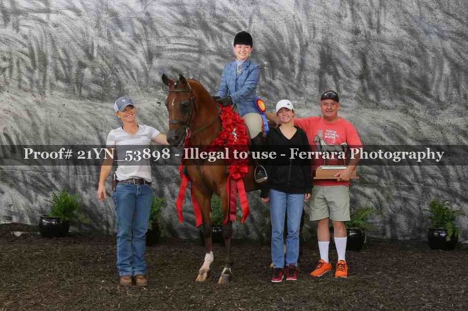 Proof Number 21YN_53898