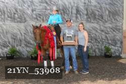 21YN_53908 thumbnail
