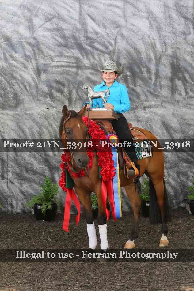 Proof Number 21YN_53918