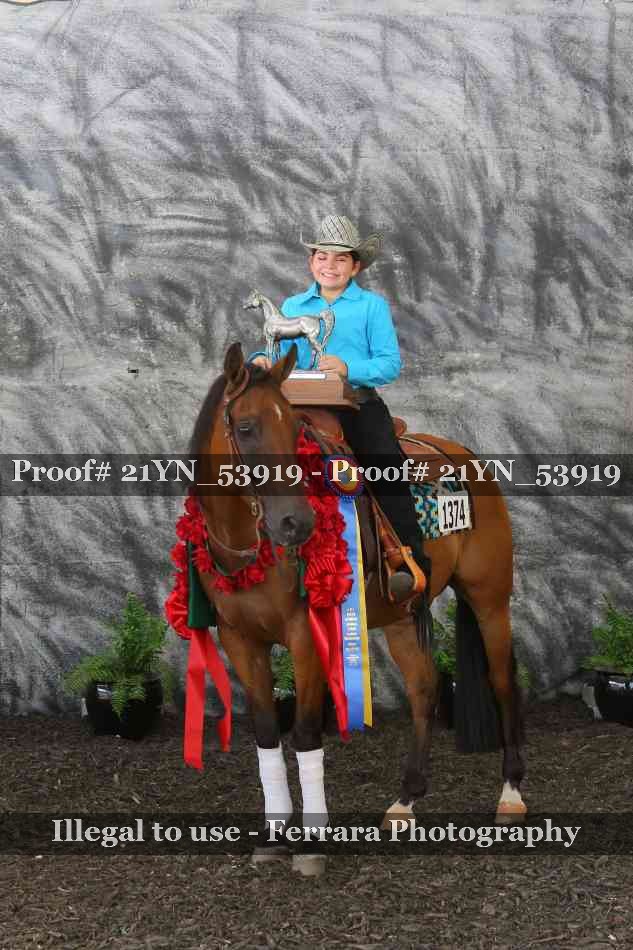 Proof Number 21YN_53919