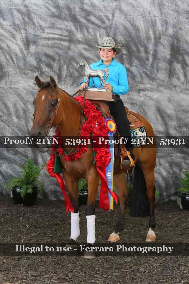 Proof Number 21YN_53931