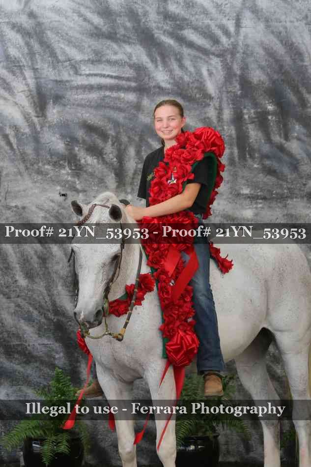Proof Number 21YN_53953