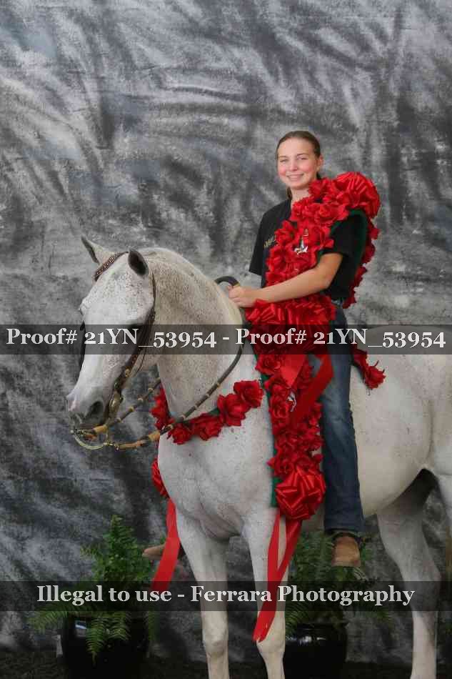 Proof Number 21YN_53954