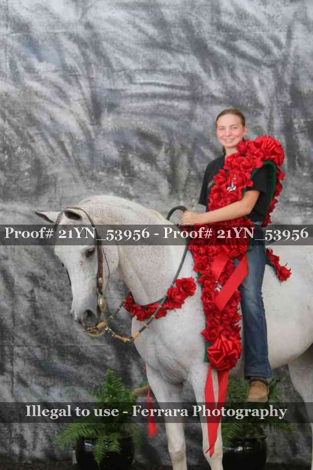 Proof Number 21YN_53956