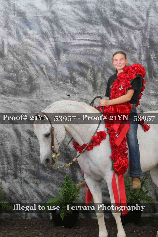 Proof Number 21YN_53957
