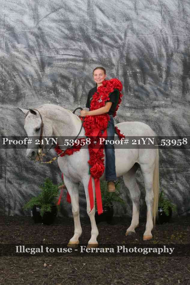 Proof Number 21YN_53958