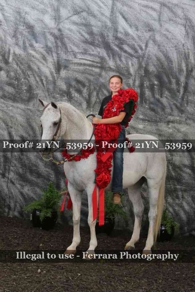 Proof Number 21YN_53959