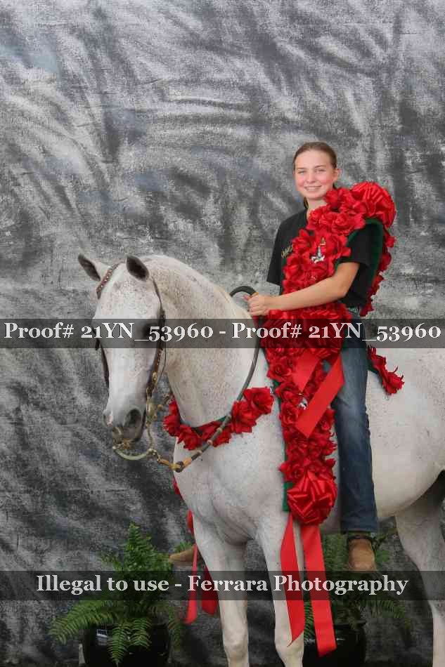 Proof Number 21YN_53960