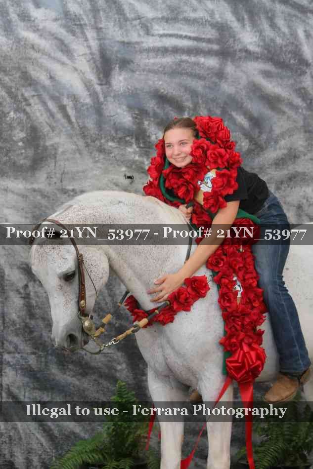 Proof Number 21YN_53977