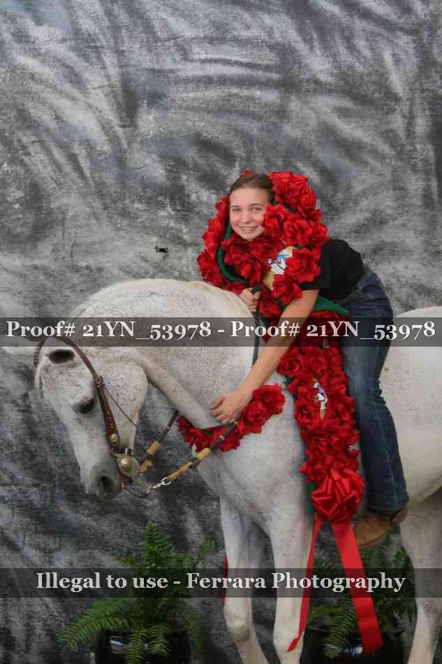 Proof Number 21YN_53978