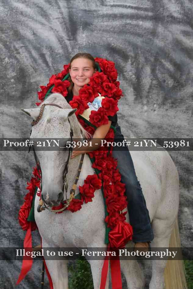 Proof Number 21YN_53981