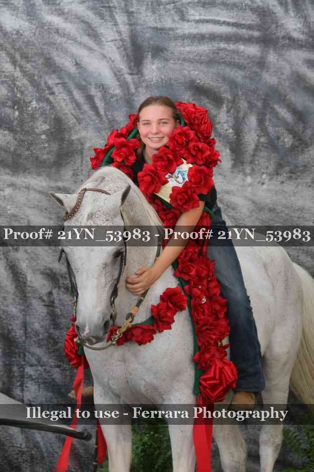 Proof Number 21YN_53983
