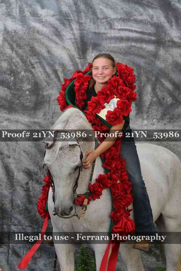 Proof Number 21YN_53986
