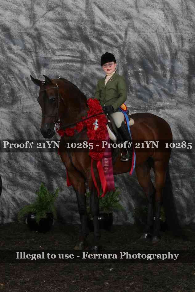 Proof Number 21YN_10285
