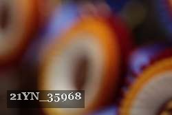 21YN_35968 thumbnail