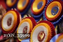 21YN_35969 thumbnail