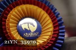 21YN_35970 thumbnail