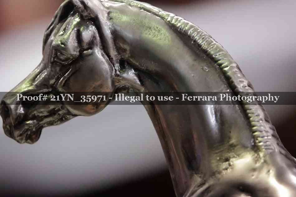 Proof Number 21YN_35971