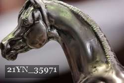 21YN_35971 thumbnail