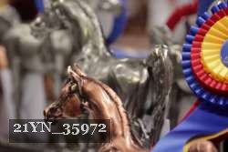 21YN_35972 thumbnail