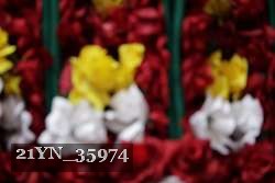 21YN_35974 thumbnail