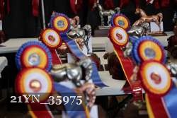 21YN_35975 thumbnail