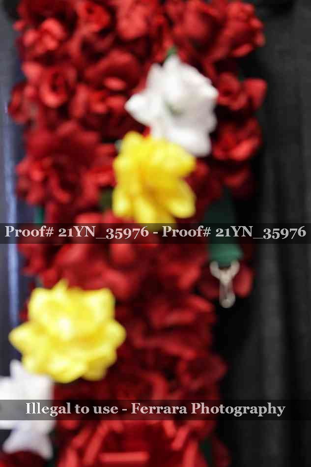 Proof Number 21YN_35976