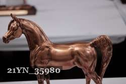 21YN_35980 thumbnail