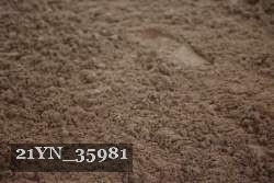 21YN_35981 thumbnail