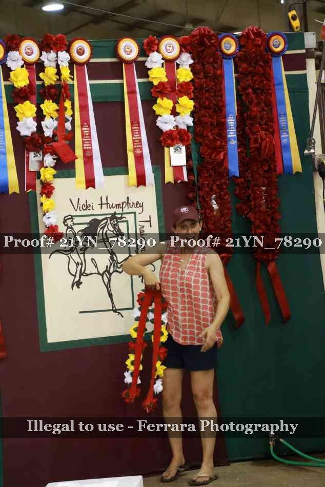 Proof Number 21YN_78290