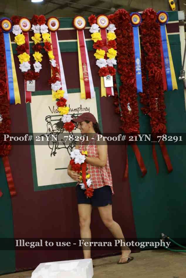 Proof Number 21YN_78291