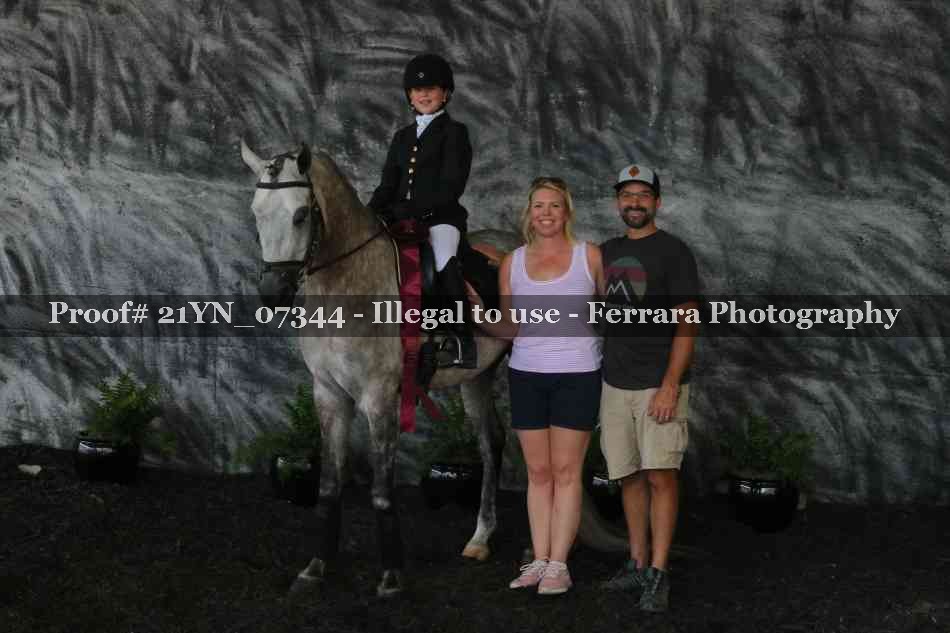 Proof Number 21YN_07344