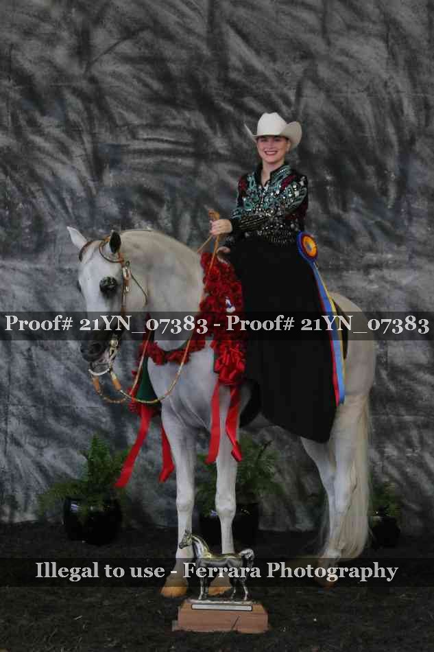 Proof Number 21YN_07383