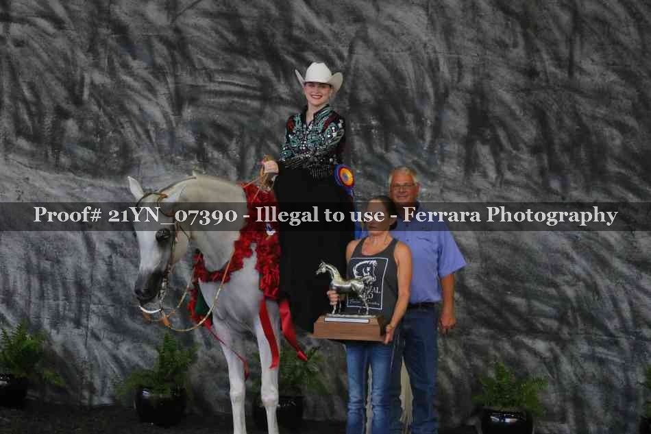 Proof Number 21YN_07390