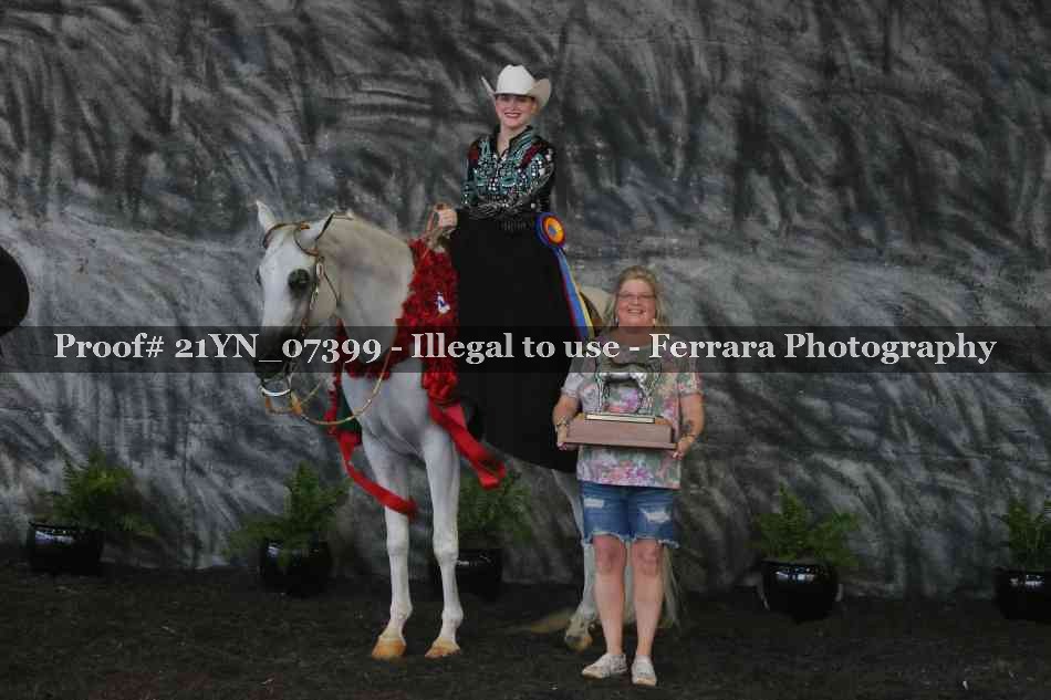 Proof Number 21YN_07399