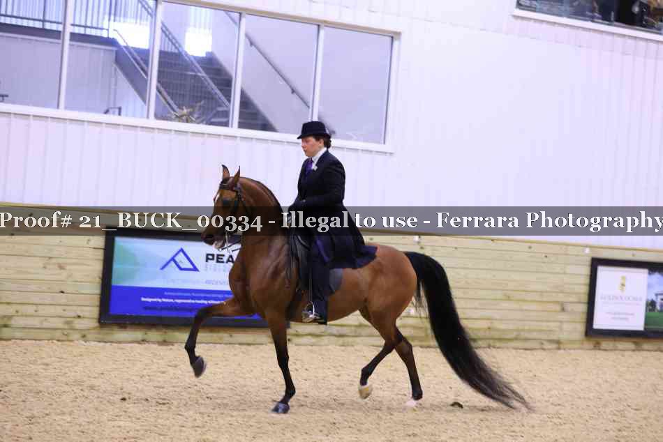 Proof Number 21_BUCK_00334