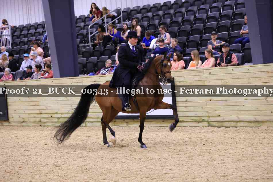 Proof Number 21_BUCK_00343