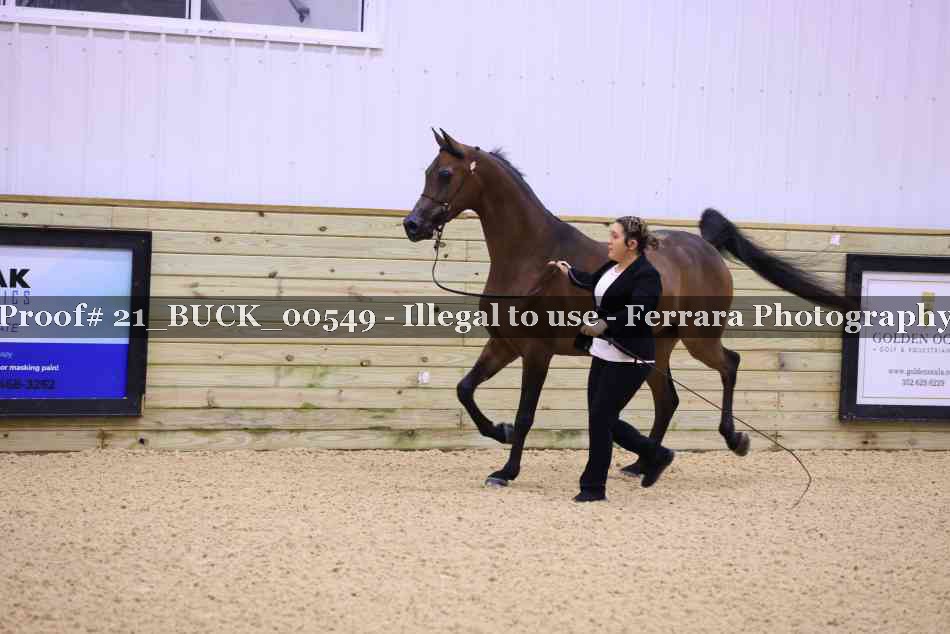 Proof Number 21_BUCK_00549