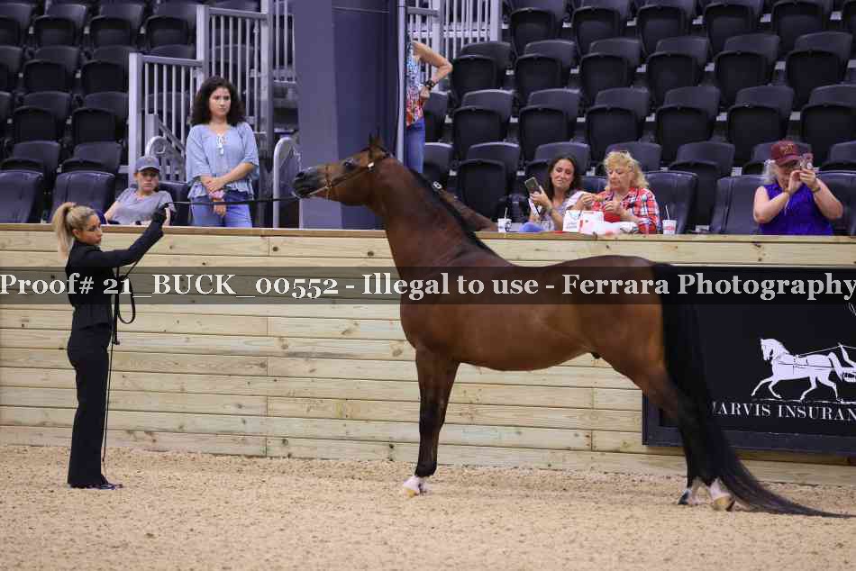 Proof Number 21_BUCK_00552