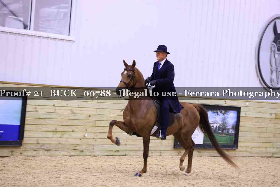Proof Number 21_BUCK_00788
