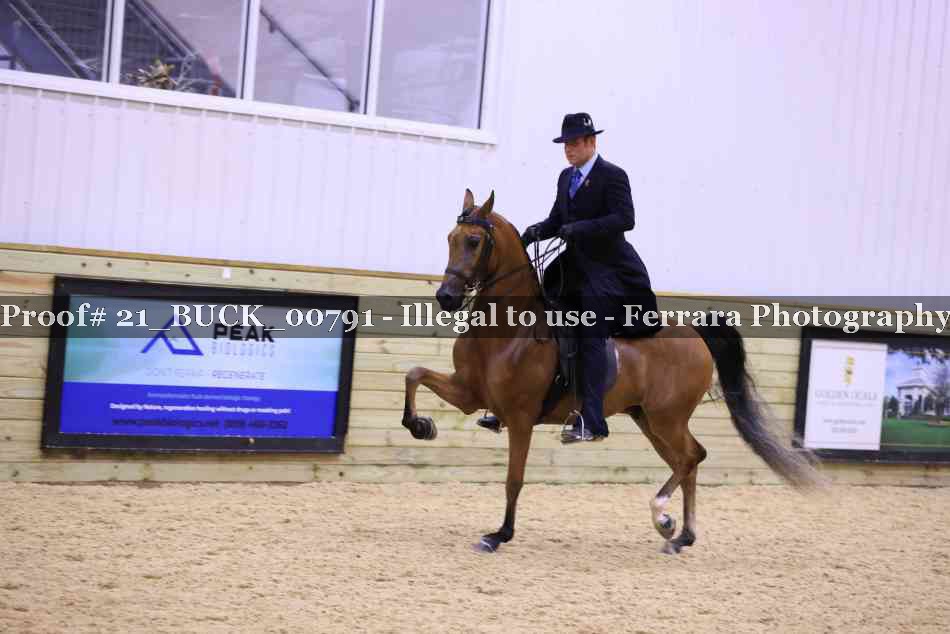 Proof Number 21_BUCK_00791