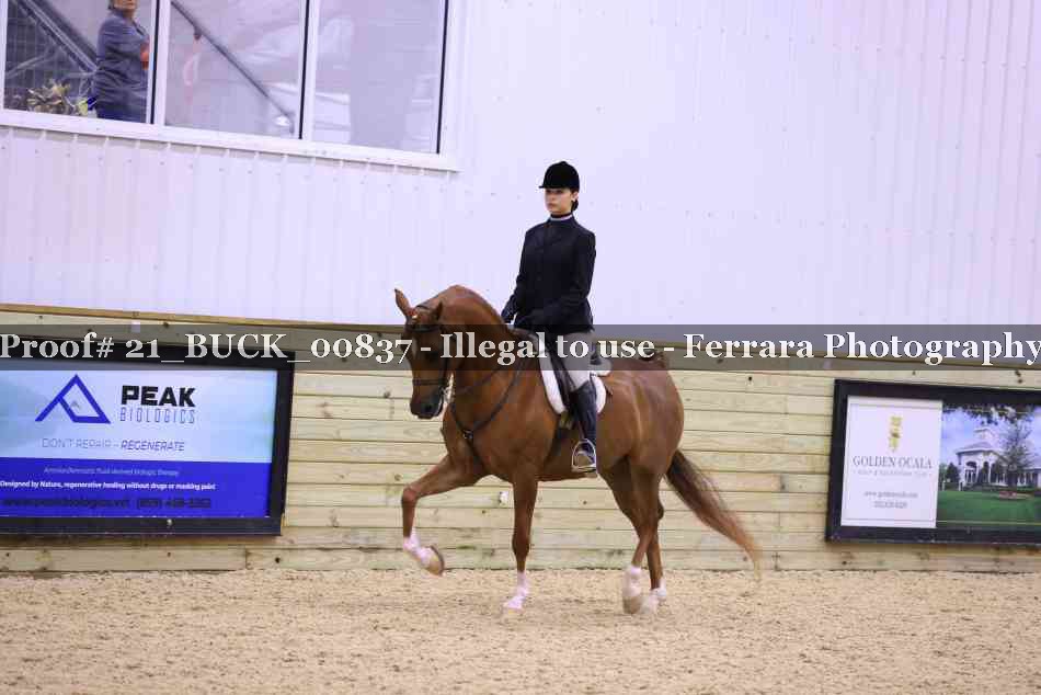 Proof Number 21_BUCK_00837