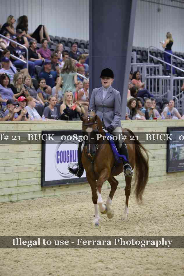 Proof Number 21_BUCK_00850