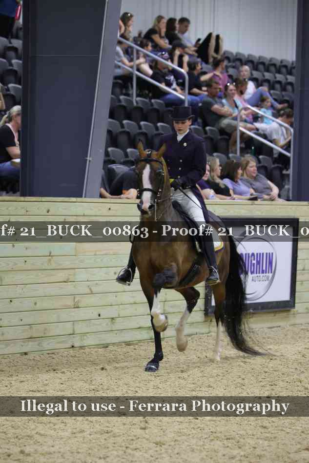 Proof Number 21_BUCK_00863