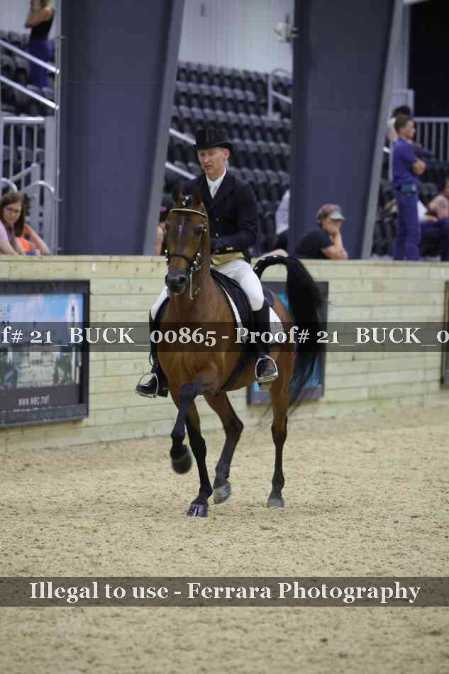 Proof Number 21_BUCK_00865