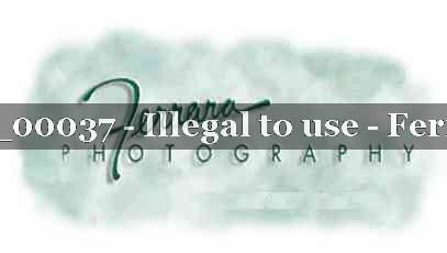 Proof Number 21_BUCK_00037